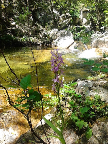 rivière