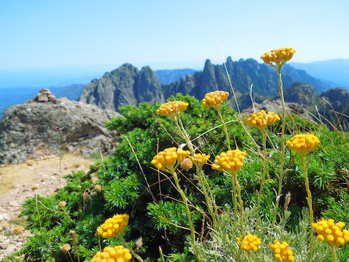 bavella
