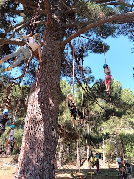 jeux dans les arbres