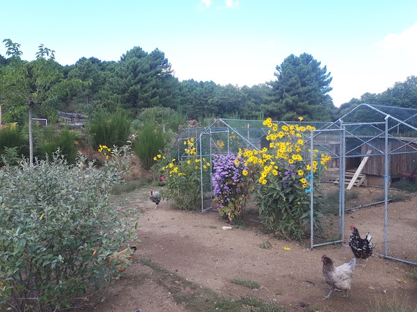 la ferme