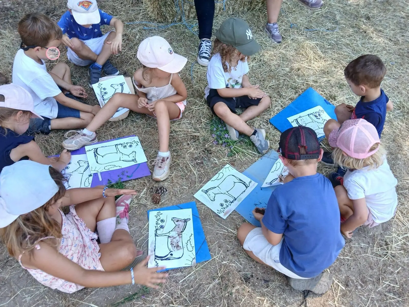 Les Naturalistes de l&#39;Alta Rocca