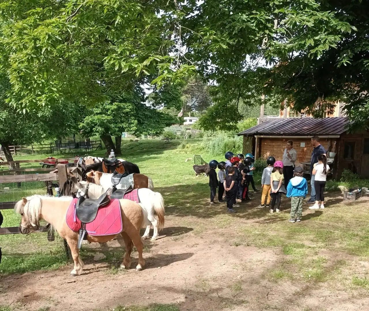 Les Cavaliers de l&#39;Alta Rocca