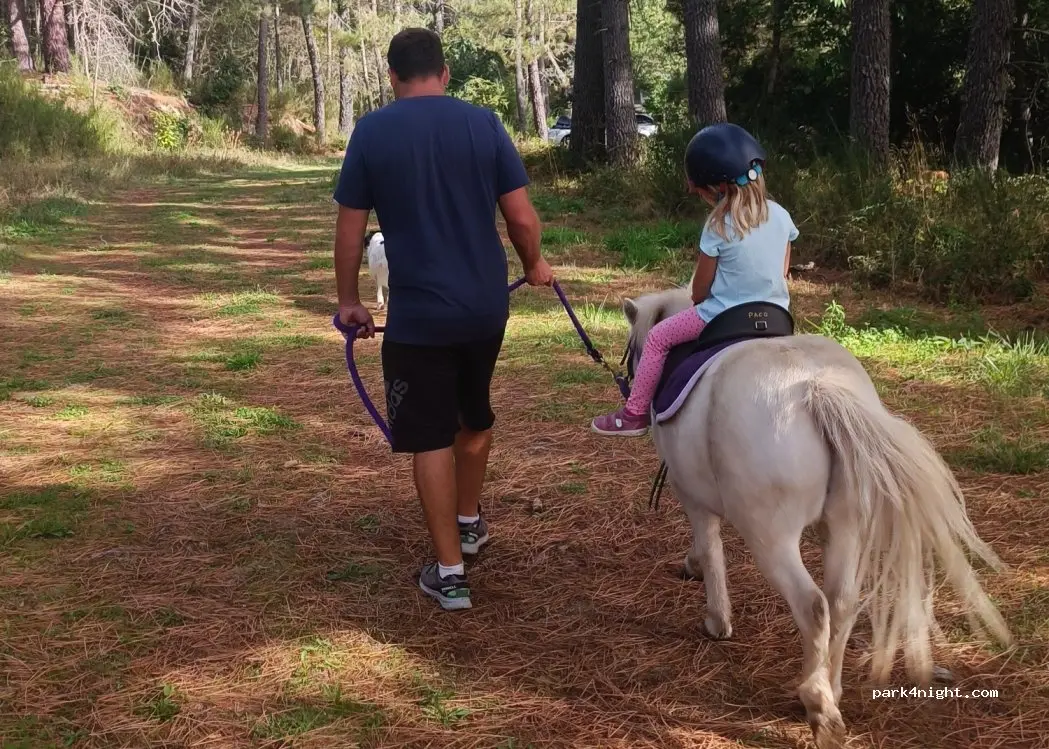 balade à poney